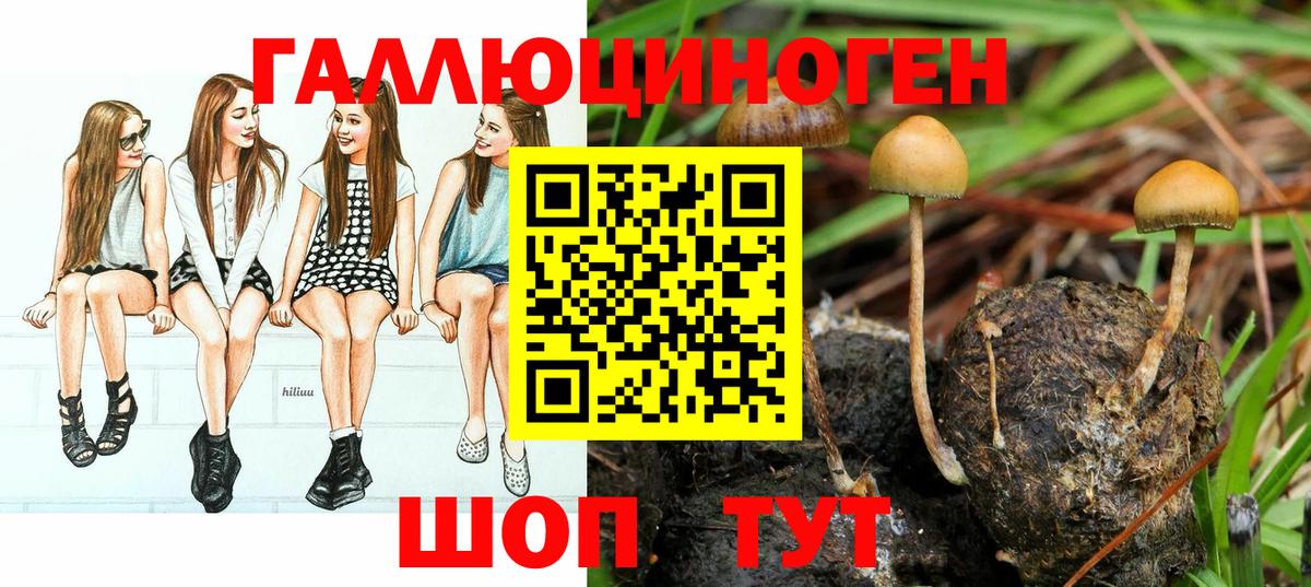 Владивосток  Псилоцибиновые грибы Psilocybe  Вход с VPN  Галлюциногенные грибы MAGIC MUSHROOMS 